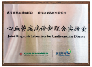 Joint Laboratory for Diagnosis of Cardiovascular Diseases